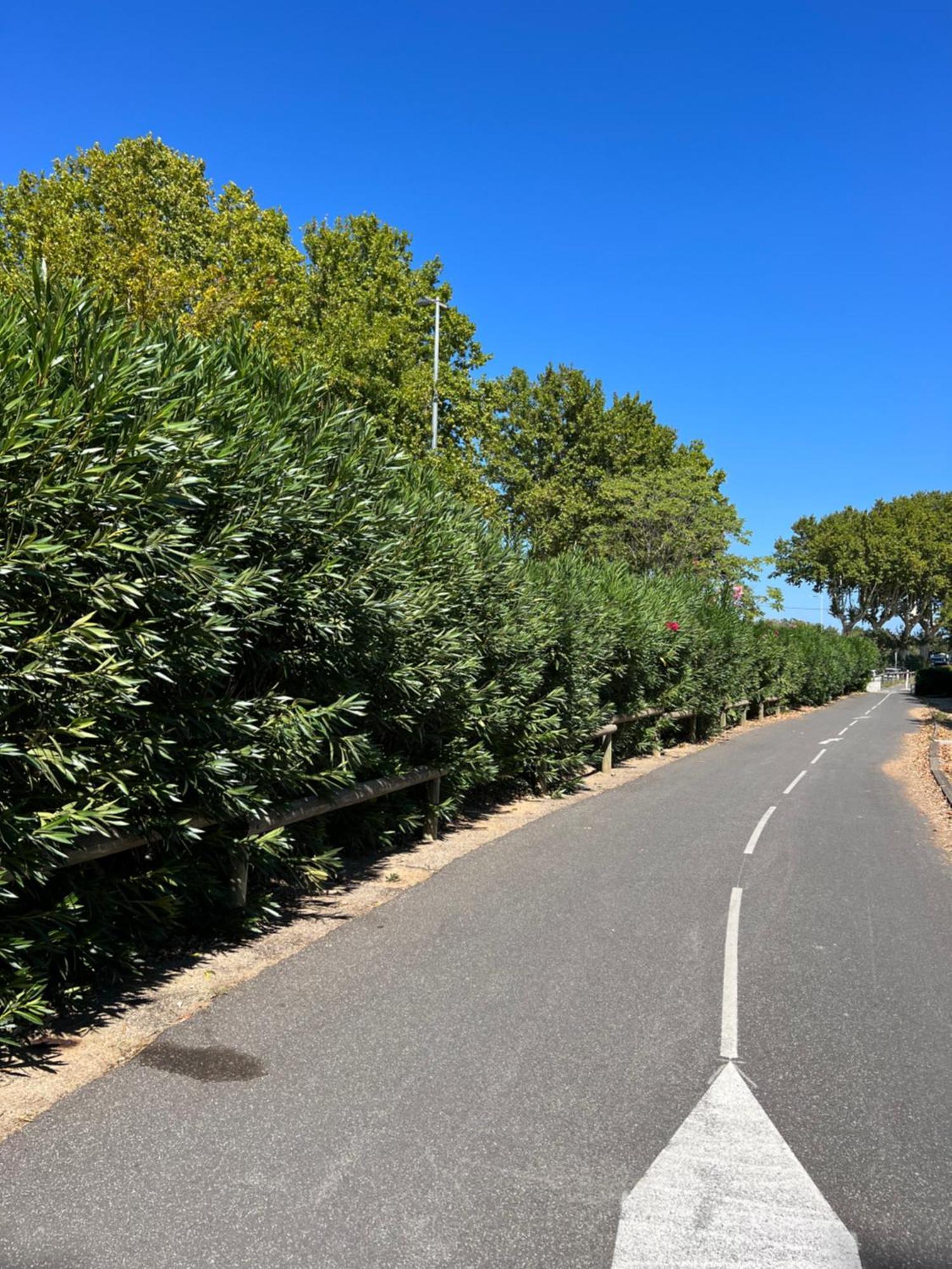 Apartamento Le Refuge Du Littoral N8 Grimaud Exterior foto